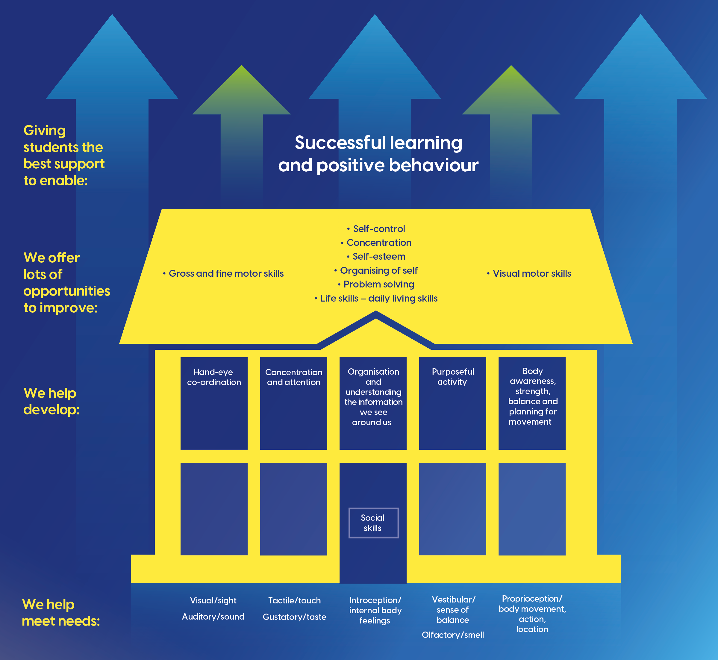 Learning and behaviour vision